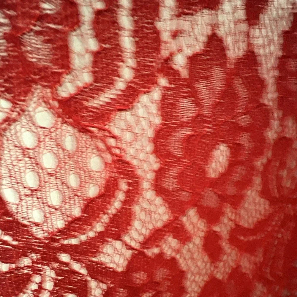 Red Floral Lace Fabric Scalloped Selvage 82